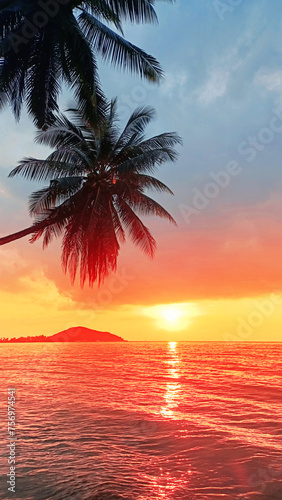 Sunset on tropical island sea beach, ocean sunrise landscape, palm tree leaves silhouette, yellow sun reflection on water waves, colorful orange, red, pink, blue sky, clouds, summer holidays, vacation