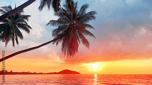 Sunset on tropical island sea beach, ocean sunrise landscape, palm tree leaves silhouette, yellow sun reflection on water waves, colorful orange, red, pink, blue sky, clouds, summer holidays, vacation © Vera NewSib