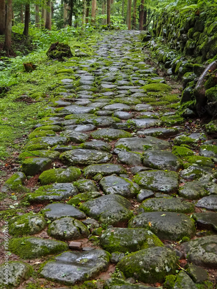 Fototapeta premium 白山平泉寺 石畳 境内