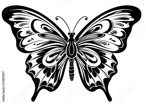 Art Nouveau butterfly Graphic Accents, vector illustration, vintage elements	
