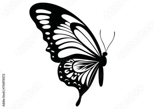 Art Nouveau butterfly Graphic Accents, vector illustration, vintage elements	
