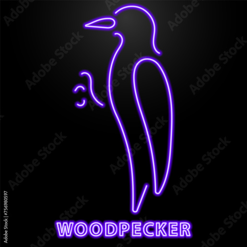 woodpecker neon sign, modern glowing banner design, colorful modern design trend on black background. Vector illustration. photo