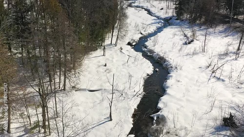 Mid-air drone video showing a melting stream in spring with ducks swimming in it. A country view in the Laurentians