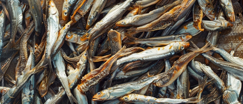 Anchovies drying for Asian dishes