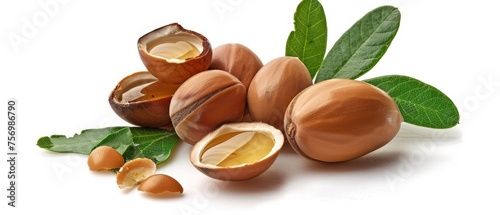 Argan nuts with green leaves on white background Chopped nut with oil drop Moroccan Argania Spinosa seeds for oil production