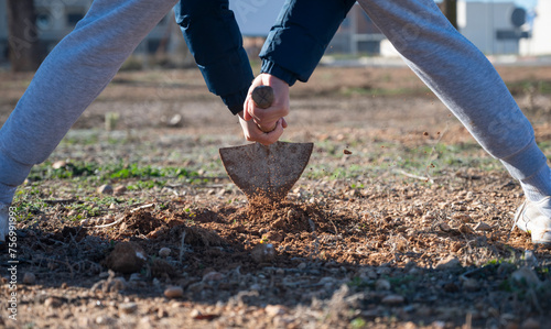 An impactful close-up of hands gripping a shovel and digging into the soil, highlighting the action of planting.