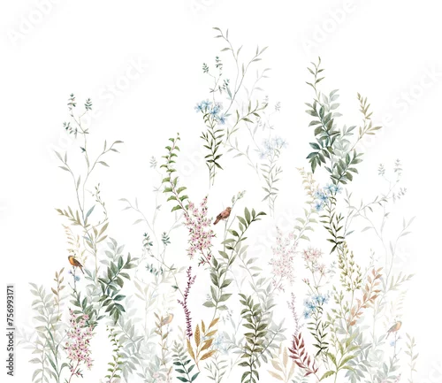 Fototapeta Mural with leaves and flowers. Delicate watercolor vines and flowers, birds on the branches. Watercolor fresco