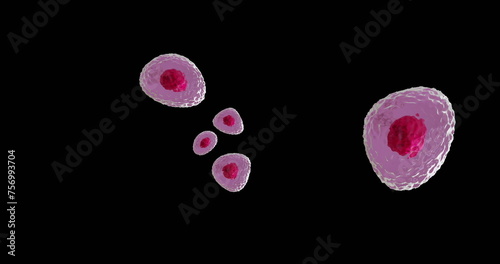 Image of micro of red and pink cells on black background