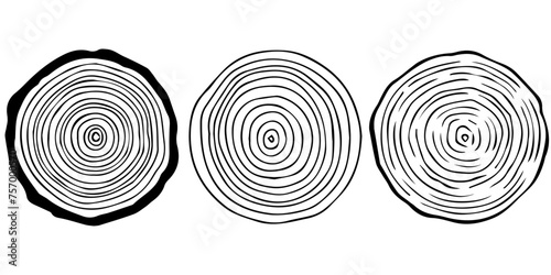 Tree rings in different designs. Vector tree rings black and white.