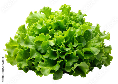 Fresh green lettuce isolated on transparent background. Lettuce salad.