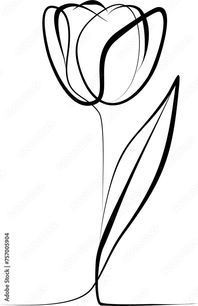tulip line art minimalist, elegant, tulip, line drawing, curved lines ...