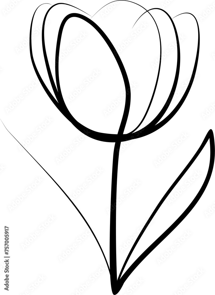 tulip line art minimalist, elegant, tulip, line drawing, curved lines ...