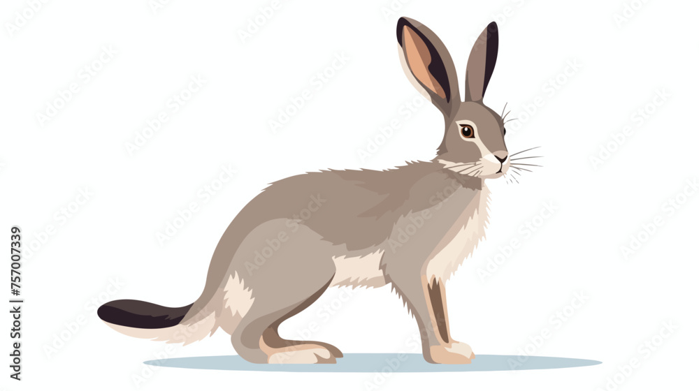 Grey hare icon  flat vector isolated on white background