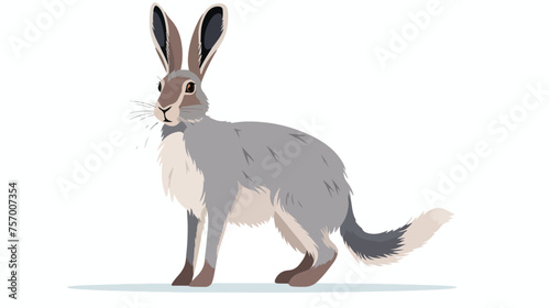 Grey hare icon  flat vector isolated on white background