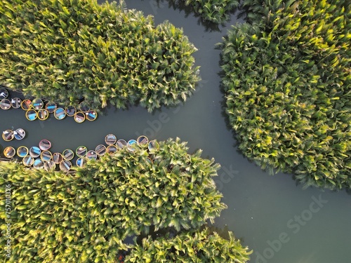 Drone photo of Coconut Boat (Basket Boat) in mangrove forests of Bay Mau, Hoi An, Vietnam