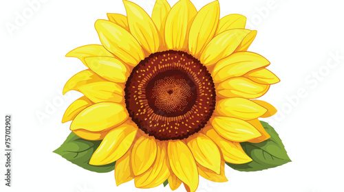 Fototapeta Naklejka Na Ścianę i Meble -  Sunflower Isolated On White Background. Vector