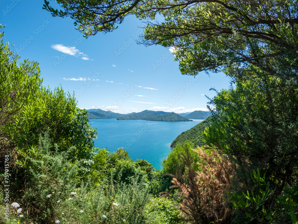 The Marlborough Sounds stunning coastal landscape with lush green hillsides andsecluded bays, with blue water and clear sky, New Zealand