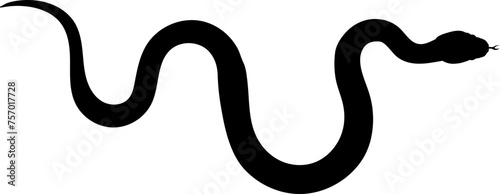 Snake Silhouette SVG Tree Snake Green Snake Chinese horoscope vector bundle rattlesnake anaconda Cobra