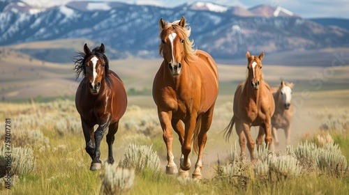 Wild horses running freely on a grassy plain with mountains in the background