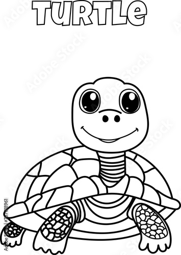 Seal Coloring Page For Kids Is A Creative Book For Coloring Where turtle
