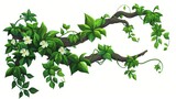 Twisted liana branch with green leaves and flowers. Cartoon modern illustration of jungle long tangled climbing plant vines with foliage. Game UI assets of creeper ivy tree trunks with foliage.