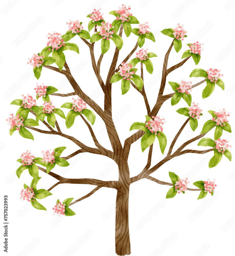 Autumn Tree with pink flowers watercolor illustration for Decorative Element