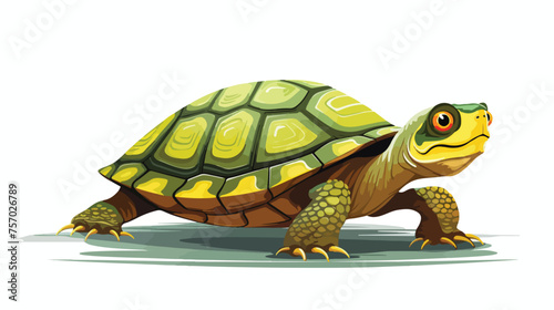 Digital toon illustration of a terrapin isolated flat photo