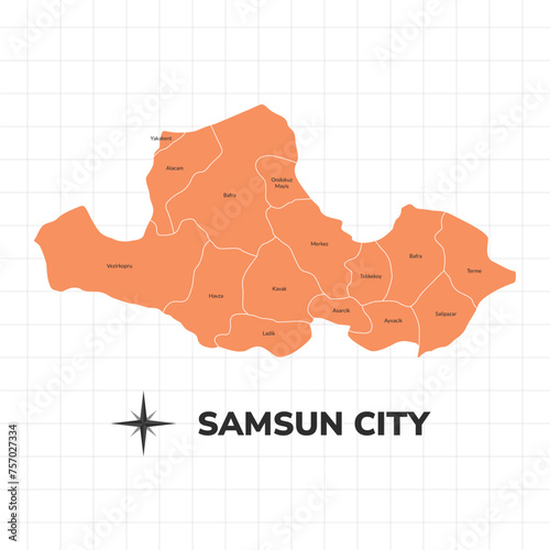 Samsun City map illustration. Map of the city in Turkey