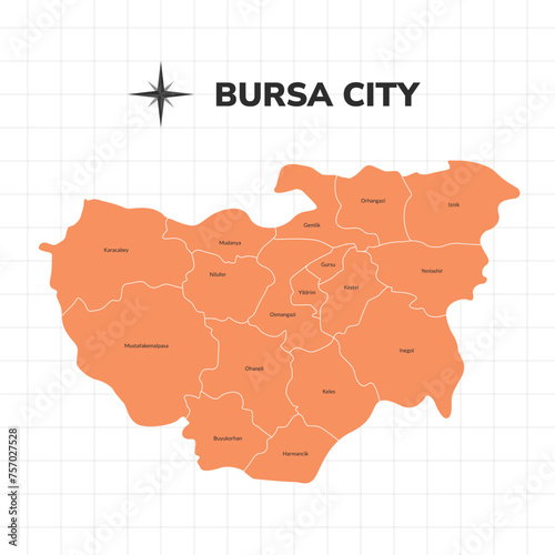 Bursa City map illustration. Map of the city in Turkey