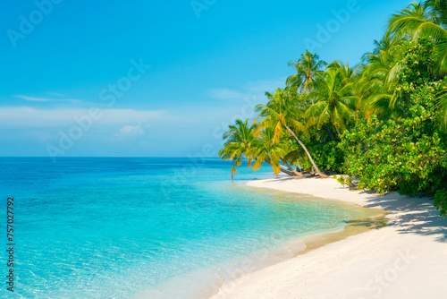 Tropical paradise beach with white sand, turquoise ocean and coco palms