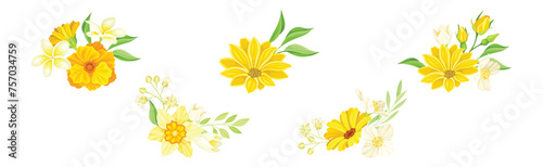 Yellow Blooming Flower as Garden Blossom Vector Set