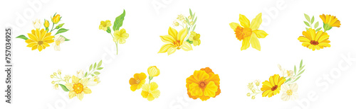 Yellow Blooming Flower as Garden Blossom Vector Set