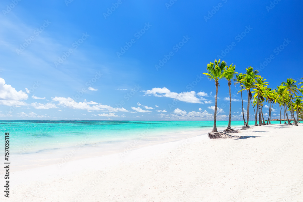 Beautiful tropical white sand beach and coconut palm tree in Cap Cana Dominican Republic. - obrazy, fototapety, plakaty 