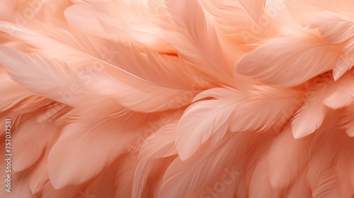 An abstract background of fluffy peach fuzz feathers