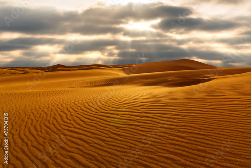 Sunset over the sand dunes in the desert. Rub' al Khali desert © Anton Petrus