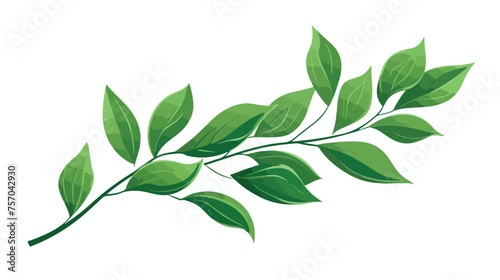Leaf plant isolated icon  flat vector