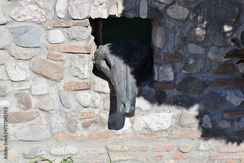 Benevento - Testa animale in bronzo di Mimmo Paladino sul muro dell'Hortus Conclusus photo