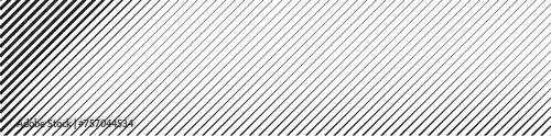 Black diagonal lines with a transition from thin to thick thickness. Striped gradient wallpaper drawn in ink. Abstract geometric background with monochrome stripe texture. Vector illustration