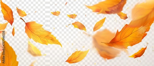 The yellow realistic autumn leaf is flying on the wind with an orange fall dry leaf on the background. Decorative botanical clipart set.