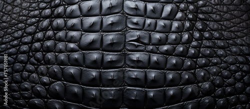 A detailed shot of a black crocodile skin texture resembles the pattern found on automotive tires or metal grilles, with a meshlike design in a dark, bricklike pattern photo