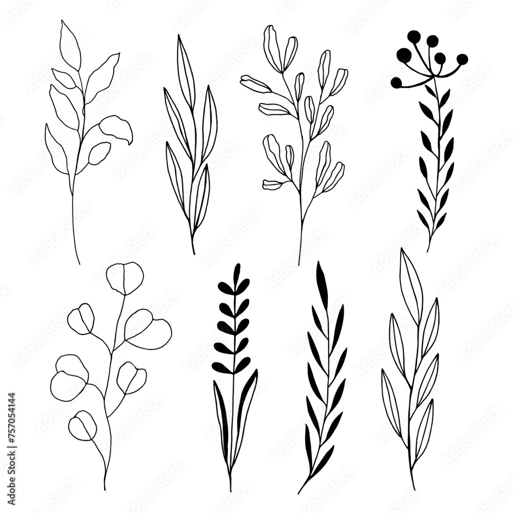 Hand Drawn Black And White Spring Flowers On White Background. Sketch. Doodle style Hand Drawn Black And White Spring Flowers On White Background. Sketch. Doodle style