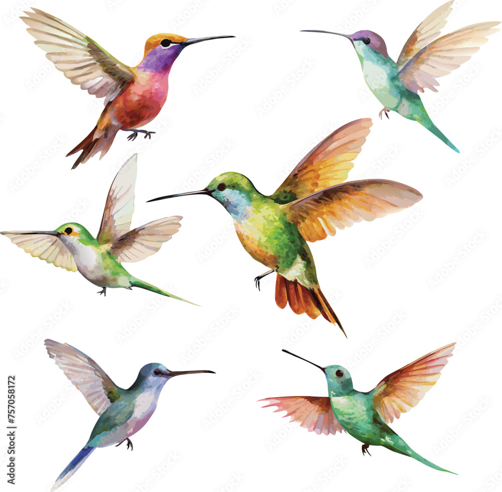 Naklejka premium Set of hummingbirds