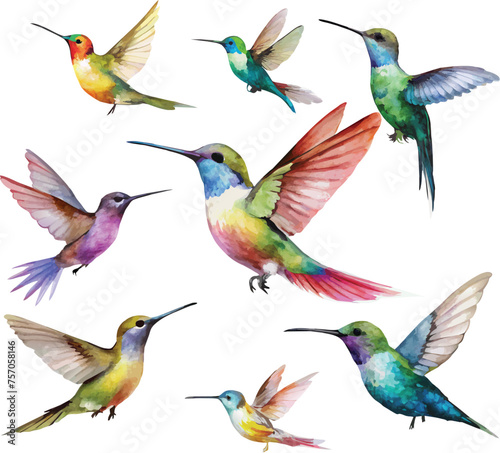 Set of hummingbirds © Phary