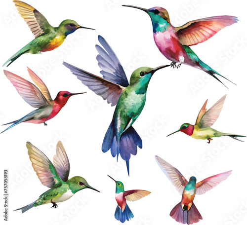 Set of hummingbirds