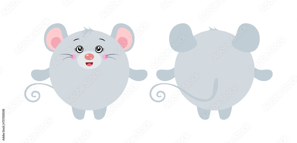 Round body mouse in front and back position Round body mouse in front and back position