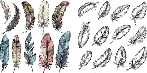 Tribal line art vector illustration set of feather bird ethnic vintage