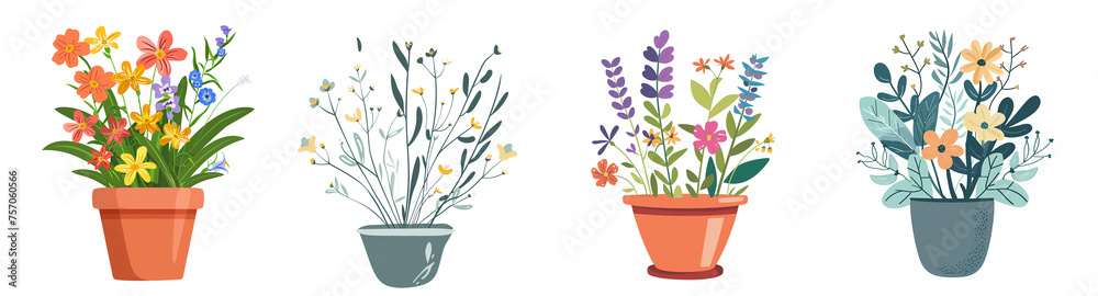 Icon illustration, wild flowers planted in pot, isolated on a transparent background Icon illustration, wild flowers planted in pot, isolated on a transparent background