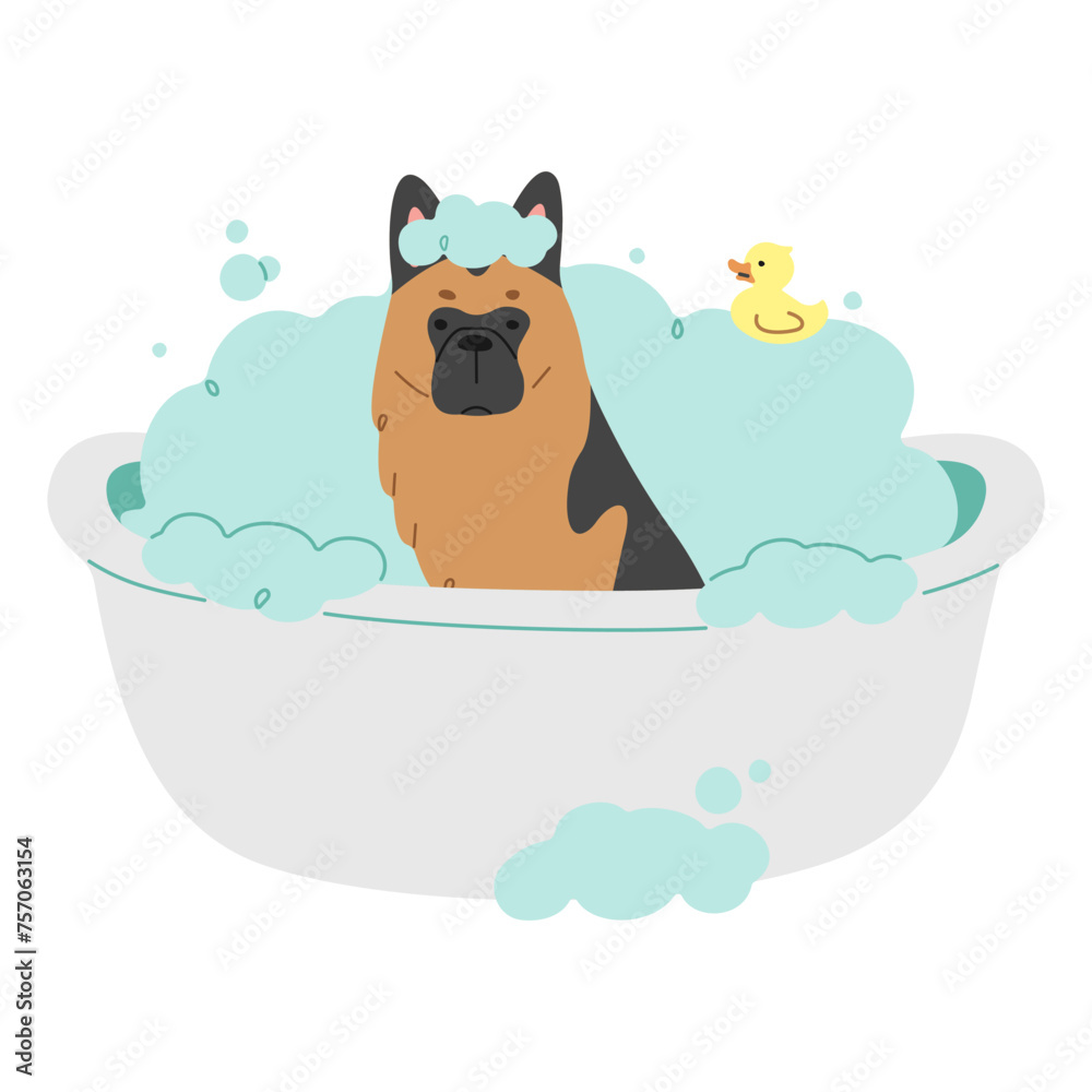 Pet Grooming Single 7 cute on a white background, vector illustration. Pet Grooming Single 7 cute on a white background, vector illustration.