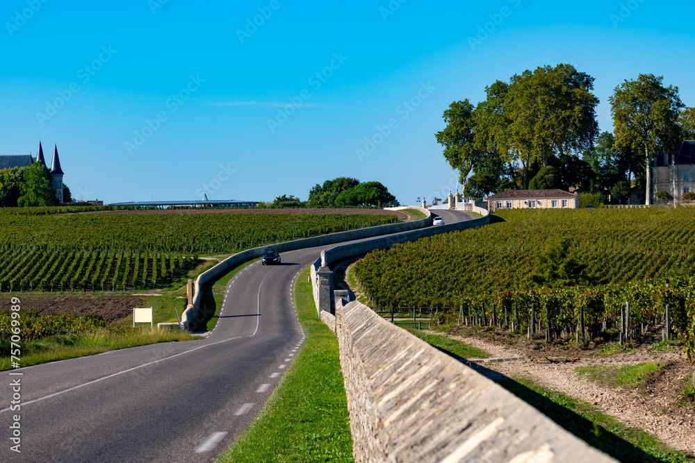 View on green vineyards, wine domain or chateau in Haut-Medoc red wine making region, Bordeaux, left bank of Gironde Estuary, France View on green vineyards, wine domain or chateau in Haut-Medoc red wine making region, Bordeaux, left bank of Gironde Estuary, France