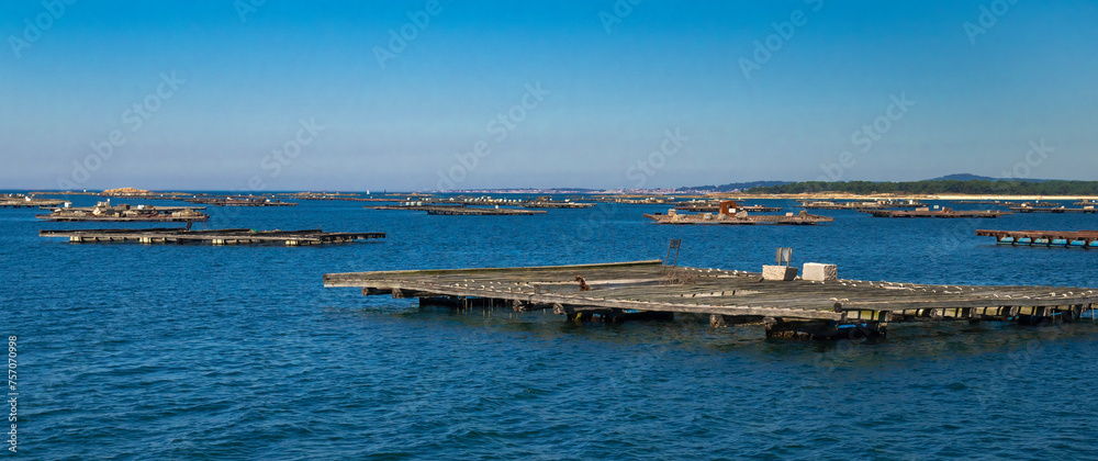 Mussel Aquaculture Rafts Batea, Mussel Growing Sea Platform, Batea Mussel Farms, Ría de Arousa, Arousa Estuary, Pontevedra, Galicia, Spain, Europe